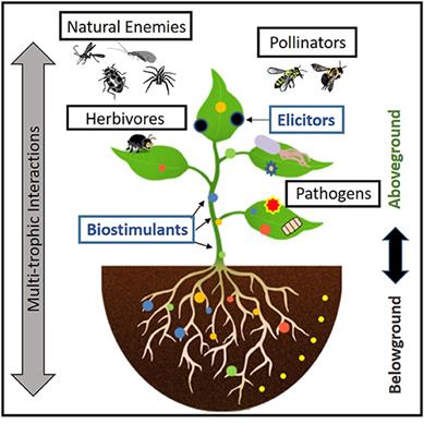 Editorial: Advances in Crop Resistance for Insect Pest Control